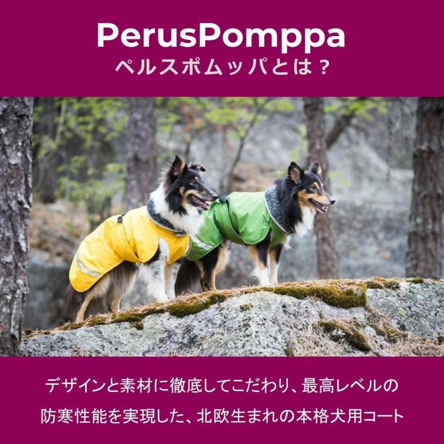ポムッパ　ペルス　ペトロール　サイズ85