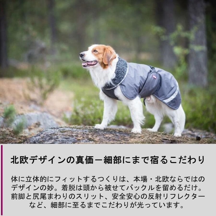 ポムッパ　ペルス　ペトロール　サイズ85