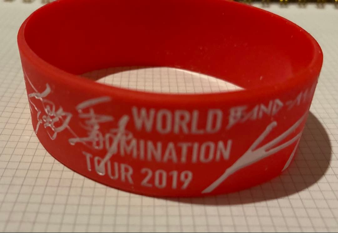 ラバーバンド WORLD DOMINATION TOUR 2019 ばんどめいど
