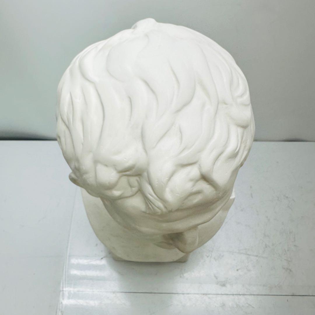 アグリッパ胸像　石膏像