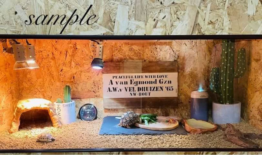 h様ケージ　木製ケージ　フルオプ送料込