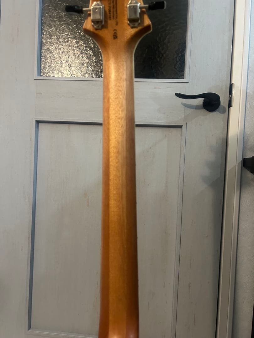 ギター Paul Reed Smith(PRS) SE ZACH MYERS