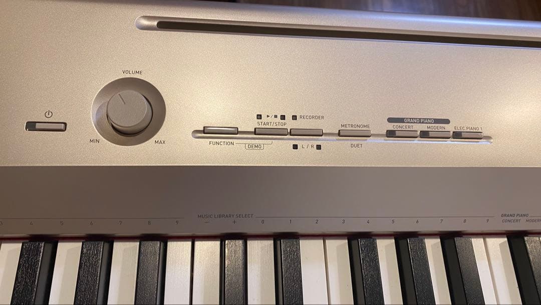 CASIO カシオ 88鍵盤 電子ピアノ Privia PX-160GD