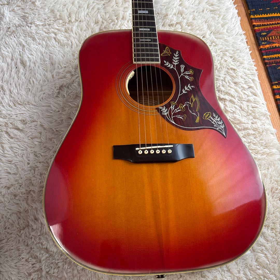 エレアコ仕様 Morris アコースティックギター