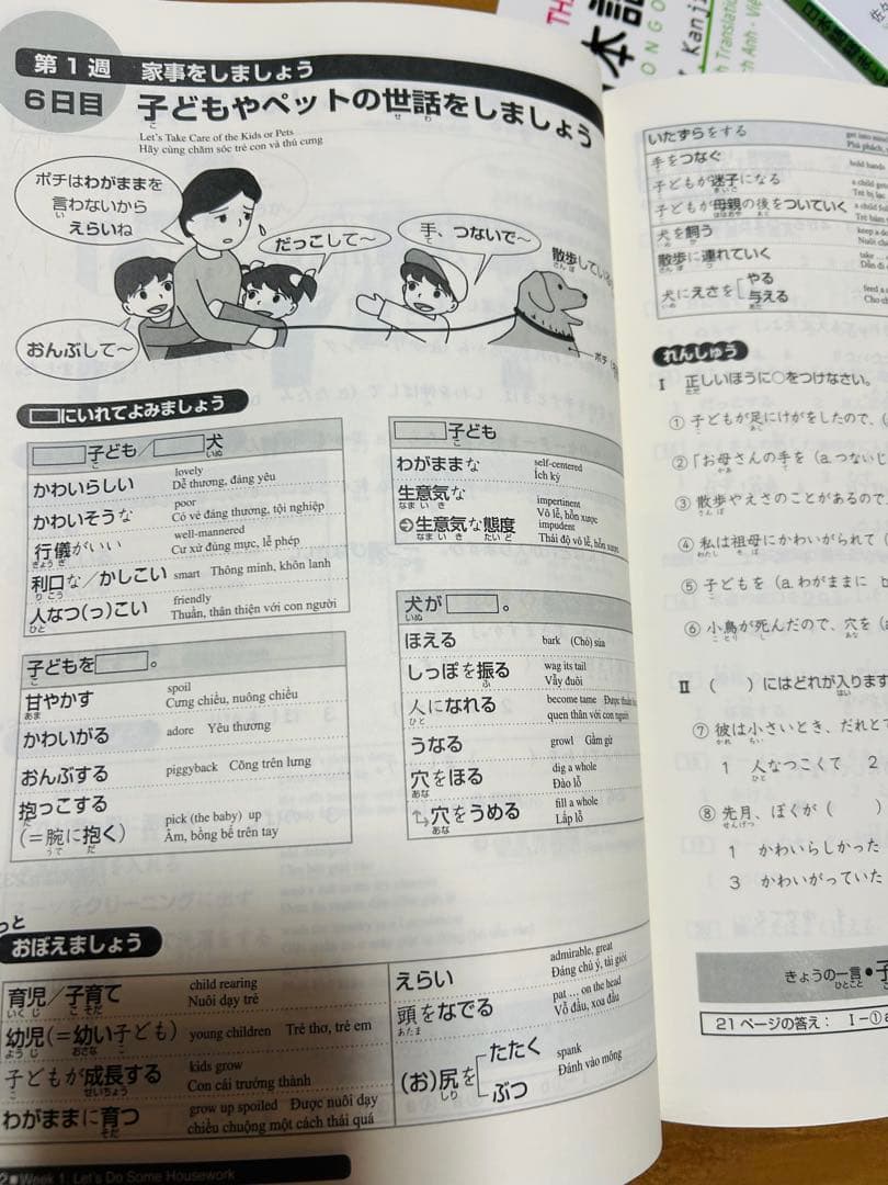SOMATOME N3 新品 日本語総まとめN3（ベトナム語・英語版）5冊セット
