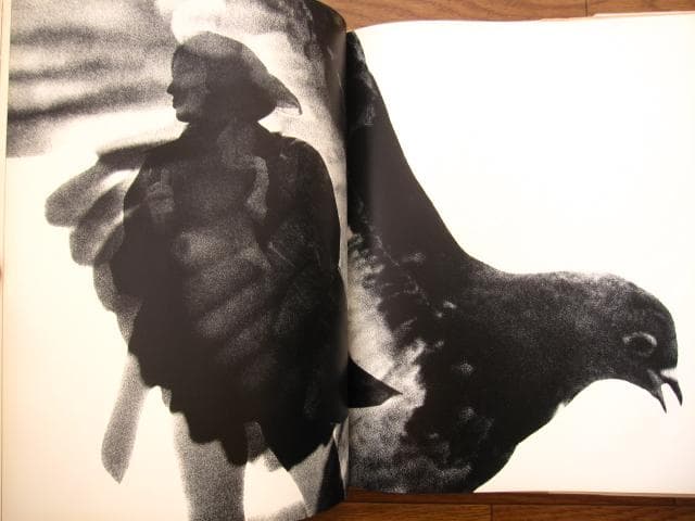 NOVEMBER GIRL　Sam Haskins　サム・ハスキンス