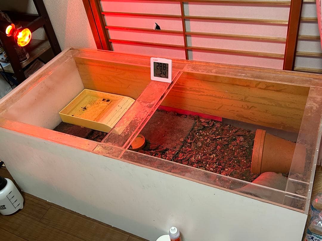 爬虫類ケージ、アクリル水槽