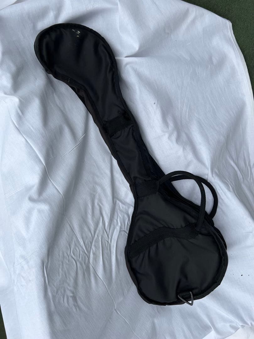 最終出品❗️超美品‼️FERNANDES❤️ PAINT-ZOフェルナンデスZO-3