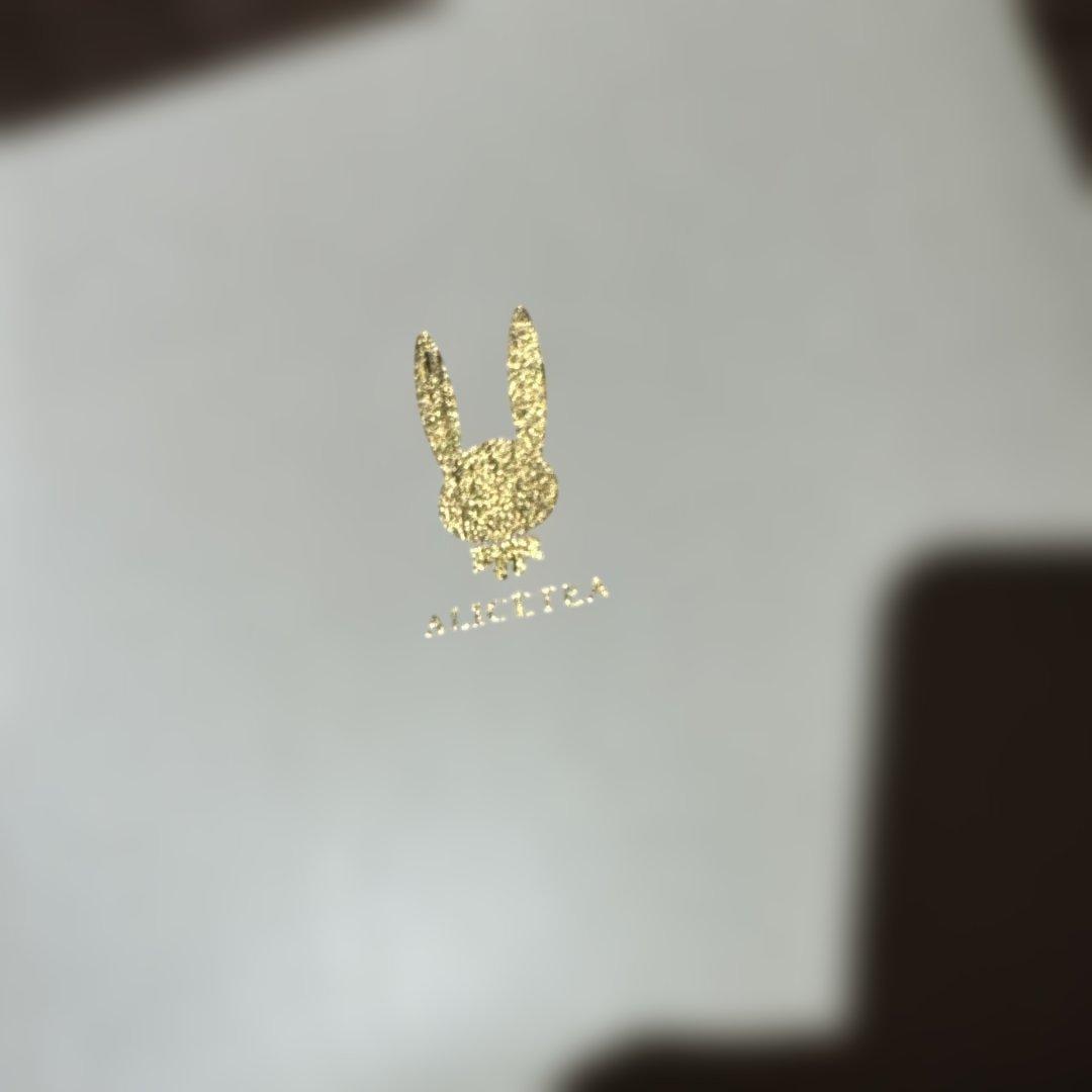 絵夢アリス　絵守未來　直筆サイン　イラスト　水彩画　額付き　色紙　抽選　当選