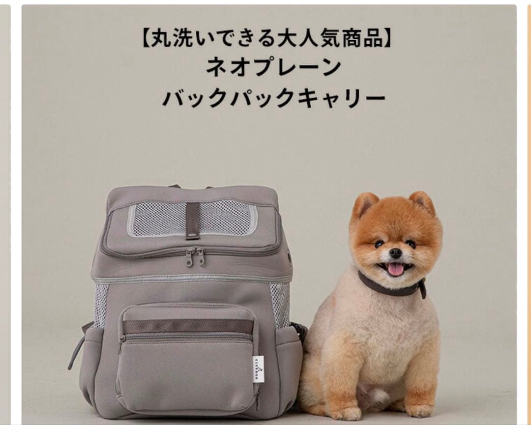 シティドッグ　ネオプレーンバックパック キャリー　Mサイズ　リュック