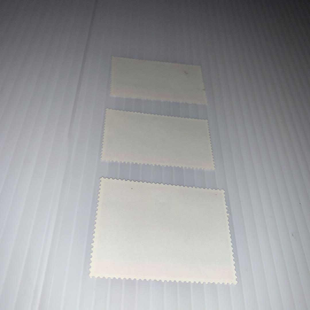 文5 美品