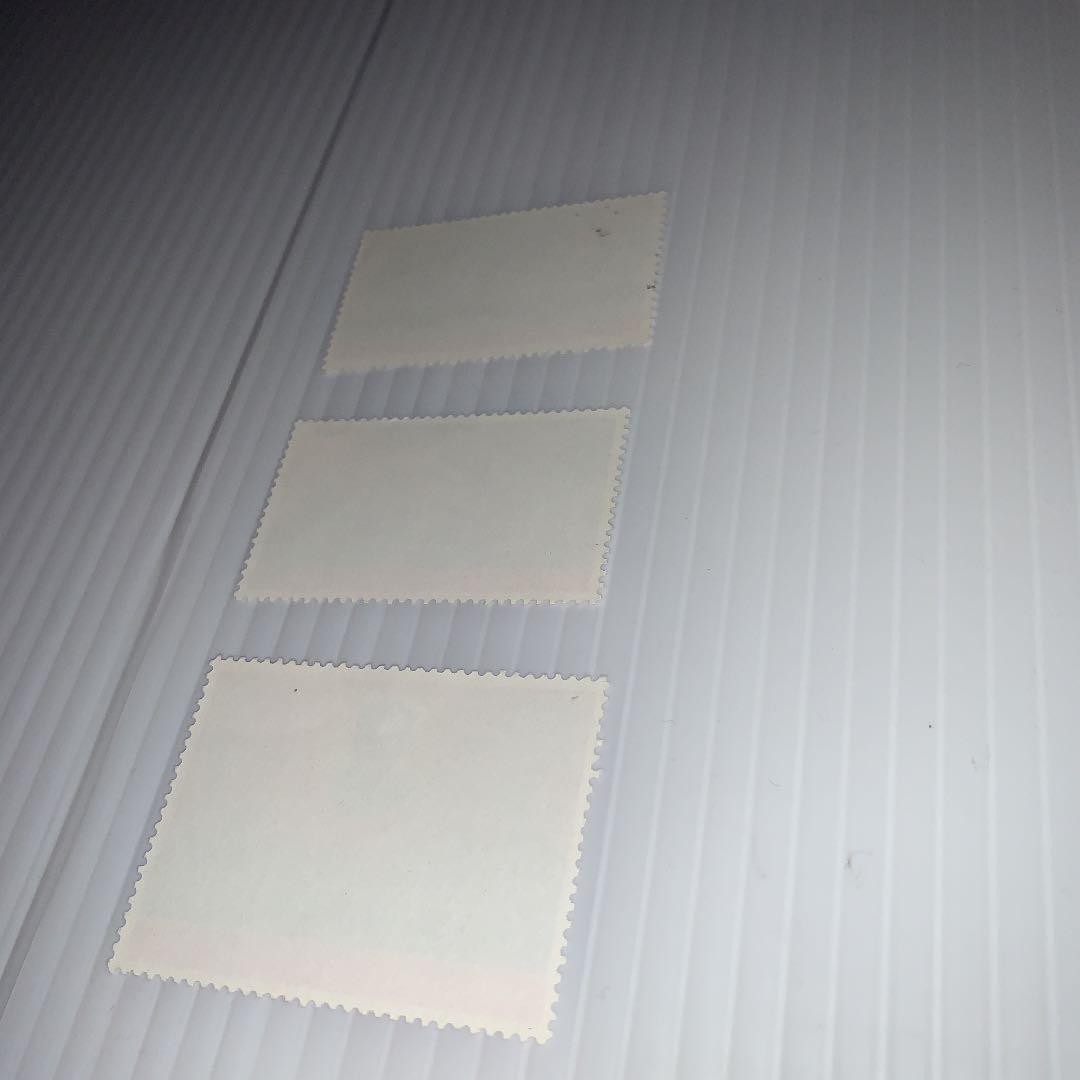 文5 美品