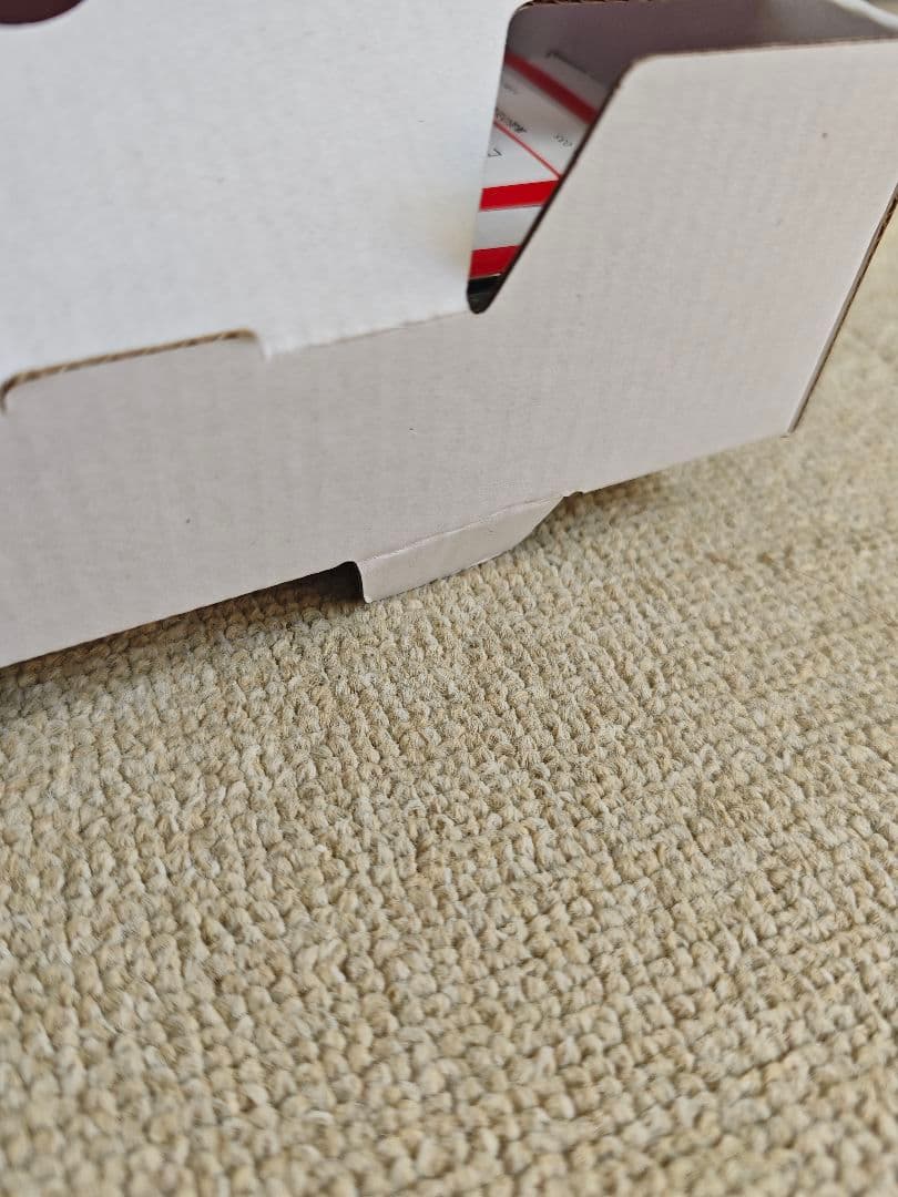 Nintendo Switch Lite コーラル ニンテンドースイッチライト