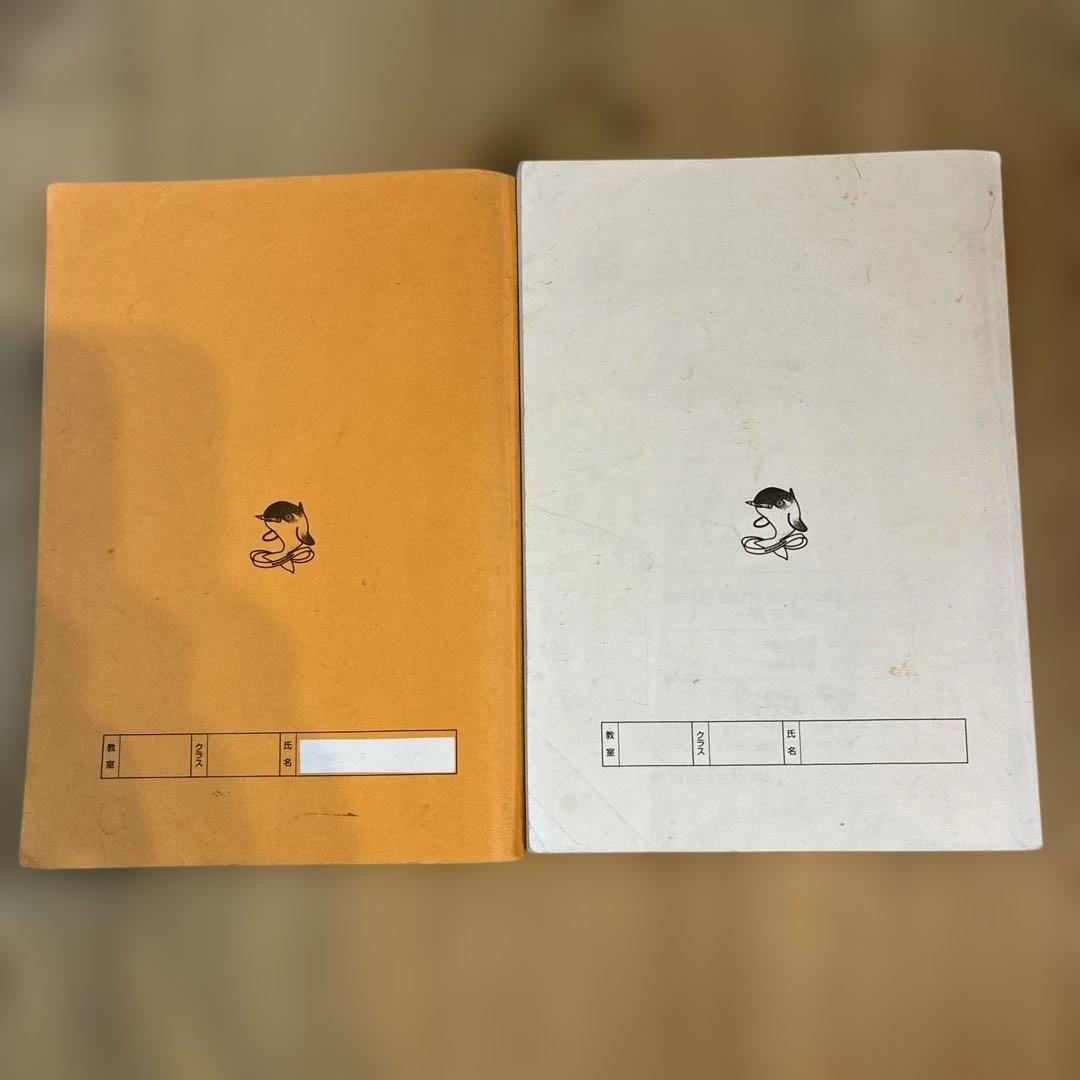 浜学園　最高レベル特訓　小5 算数　問題編　解説編編　難問解説集付き　フルセット