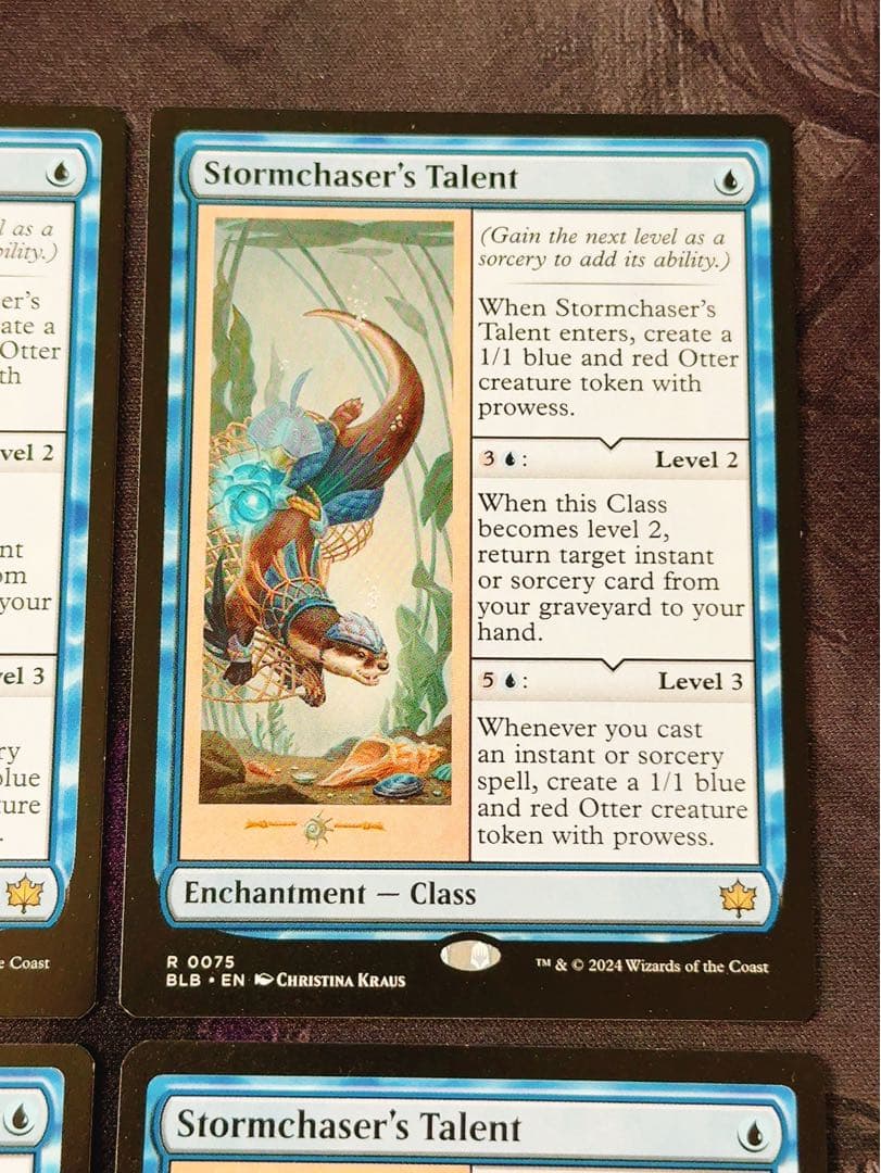 嵐追いの才能　英語　4枚セット