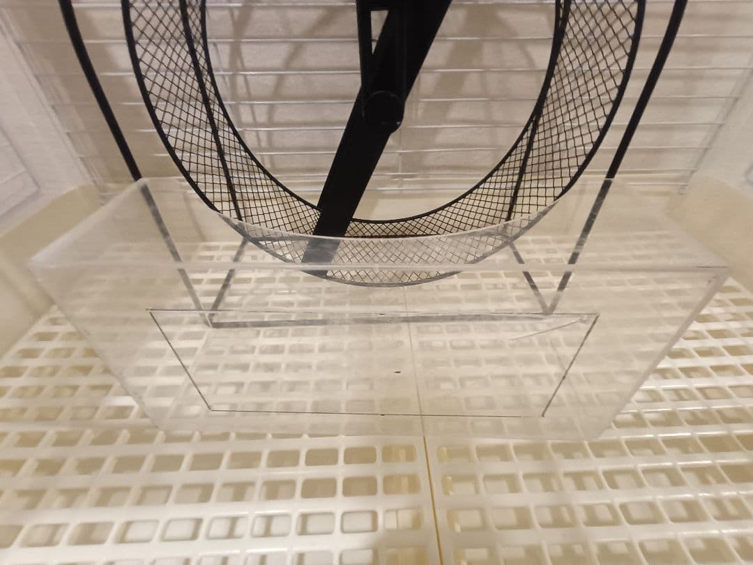 ホワイトケージ ブラック回し車付き