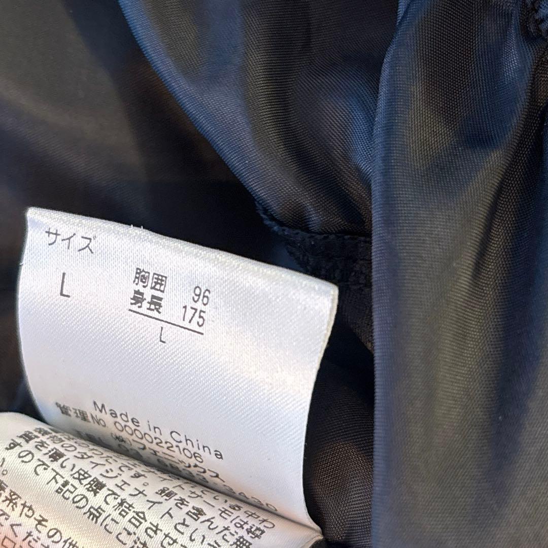 Phenix スキーウェア フェニックス セットアップ Lサイズ メンズ