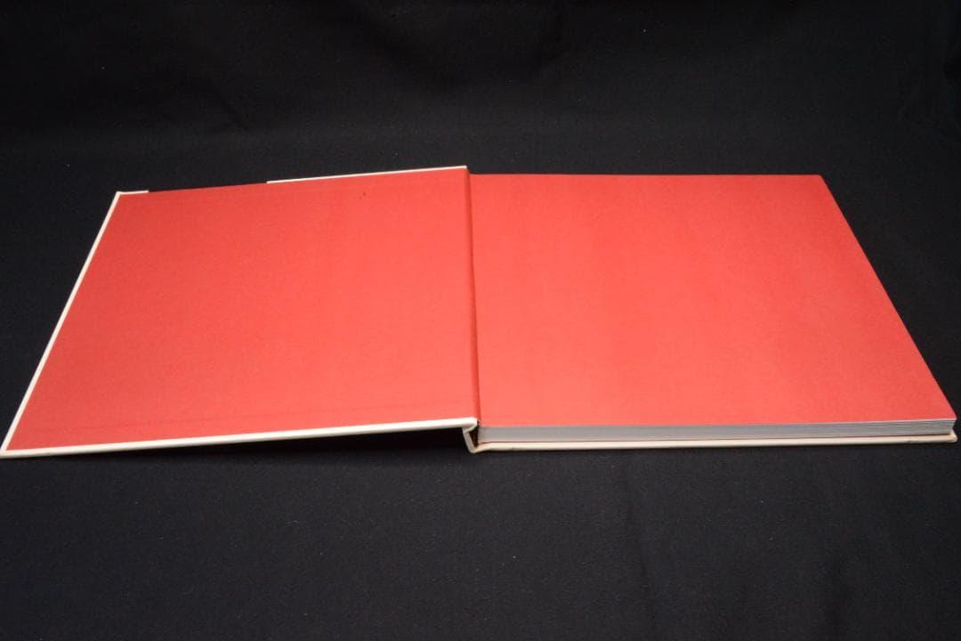 【Kitaj】Lee Friedlander　サイン入　★★大幅に値下げしました