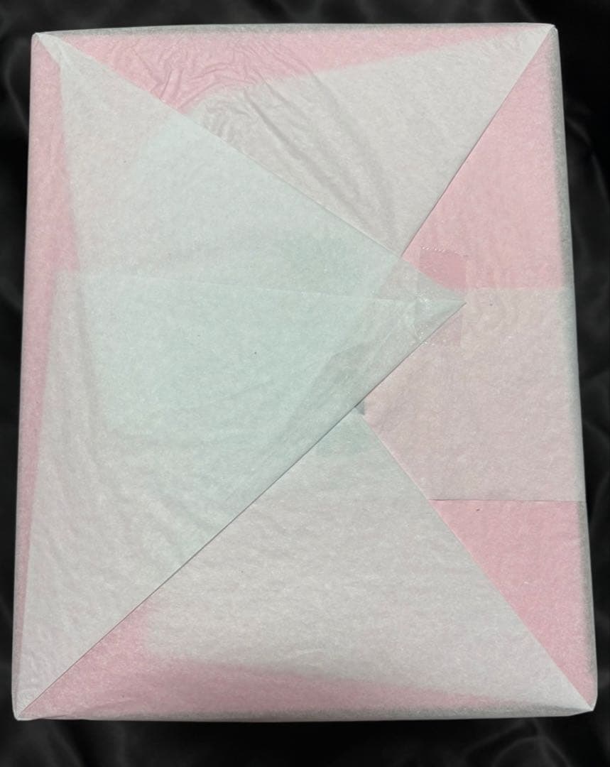 勝利の女神　NIKKE アリス　スイートホーム　限定版　AMAKUNI