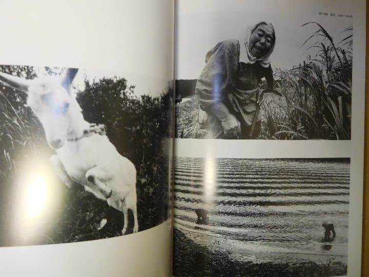 ◆写真家・井上青龍回顧展◆図録 古書