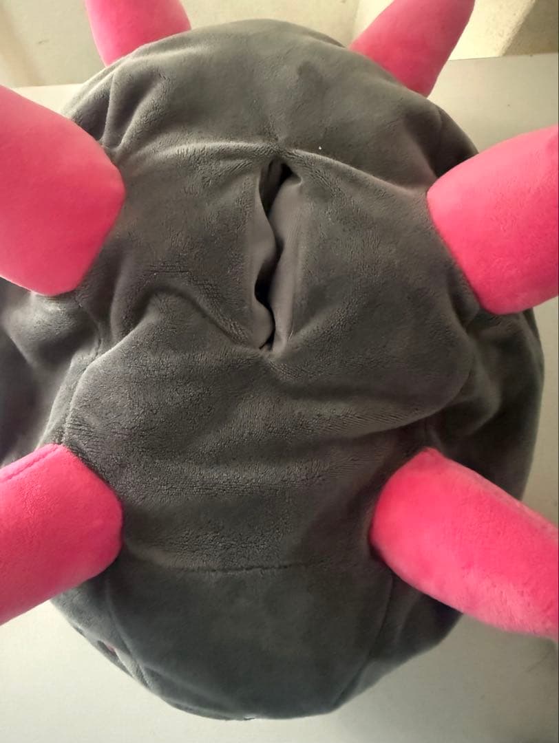 ポケモン ナマコブシ ティッシュケース