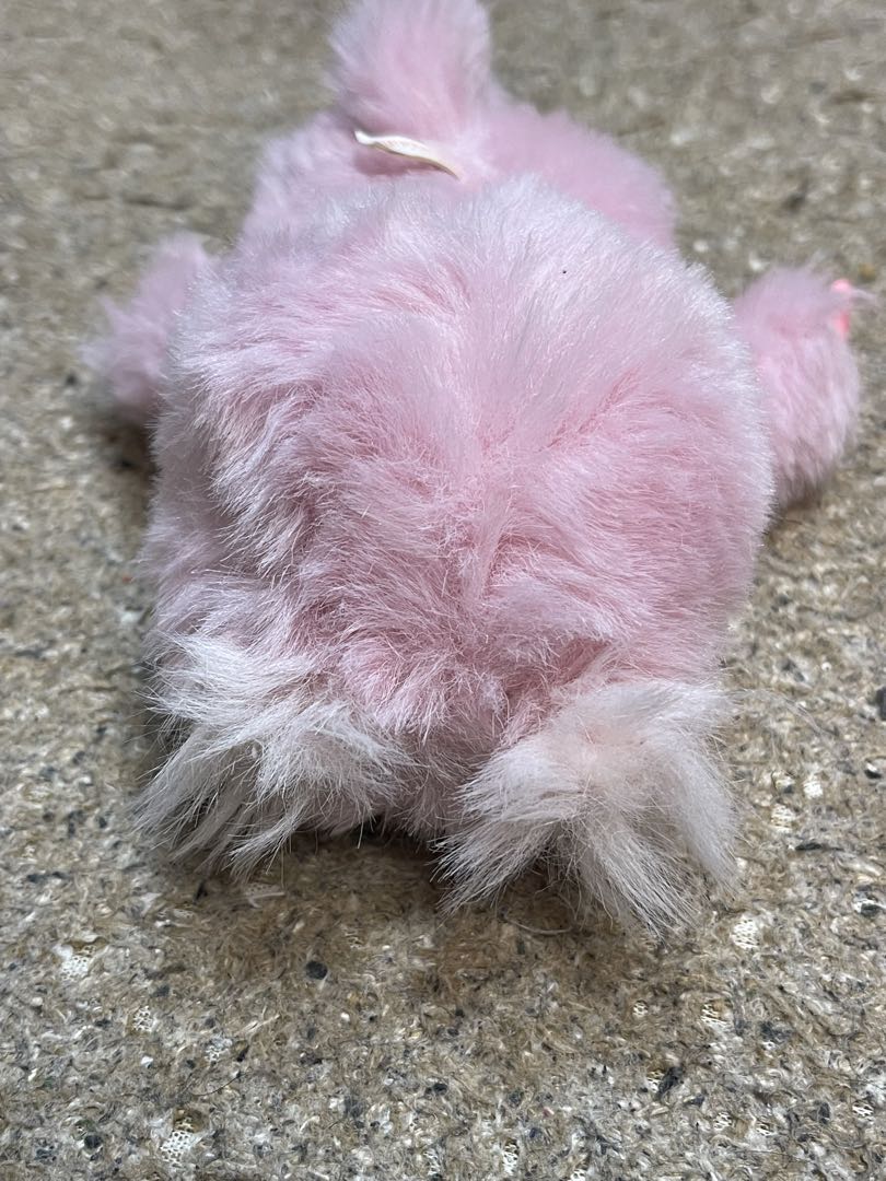 モンチッチ　レア　3体セット