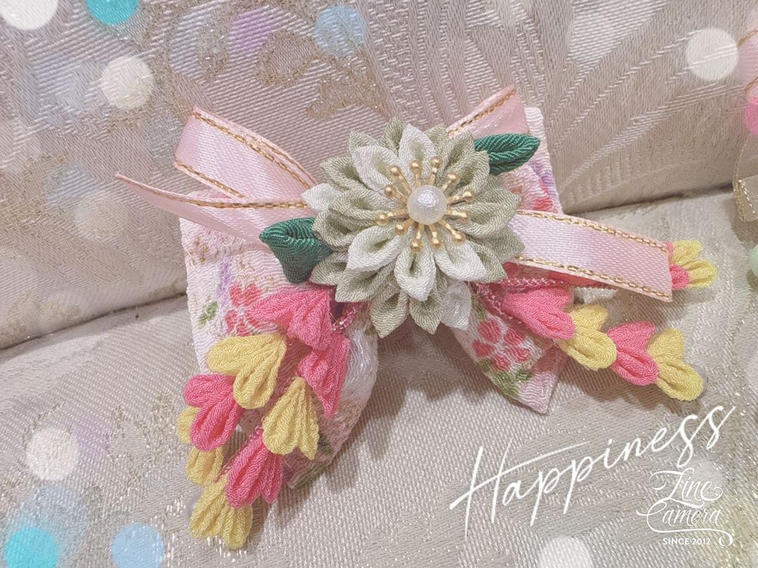 B409.pon2pan2☆オーダー☆犬お着物