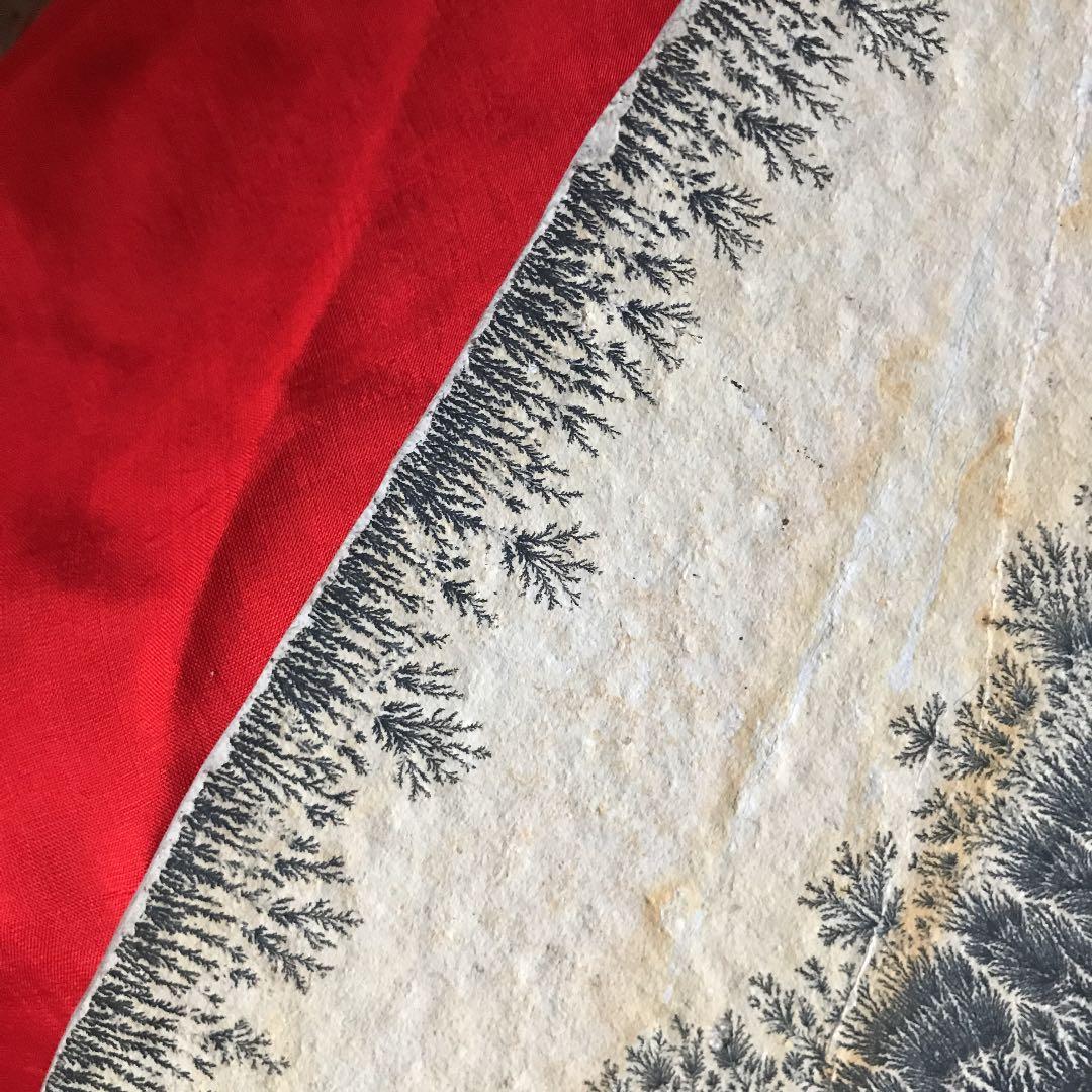 永久に枯れない樹木を封じ込めた石　樹形石(しのぶ石)  Dendrite