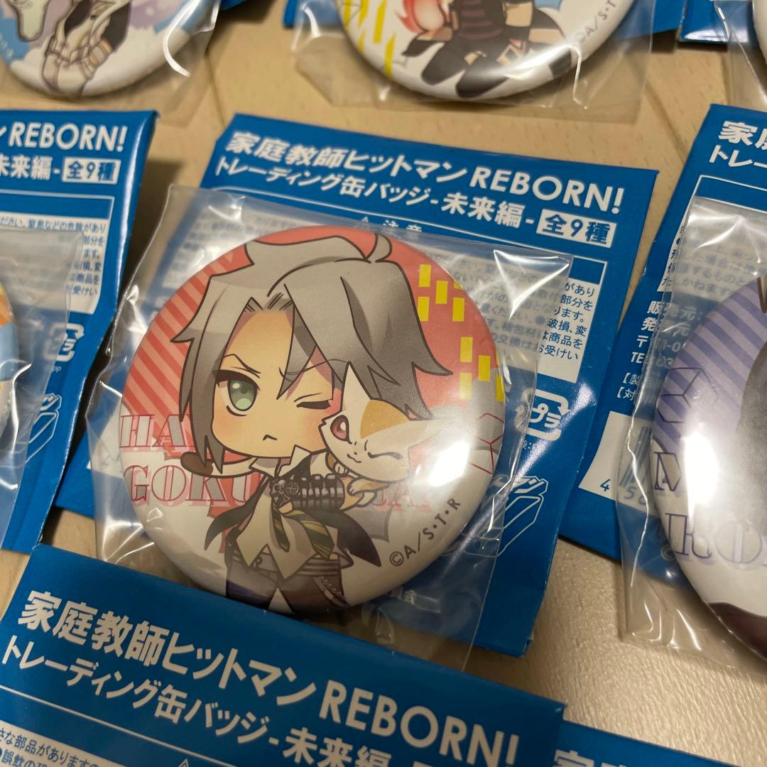 【全9種コンプ】家庭教師ヒットマンREBORN！トレーディング缶バッジ　未来編