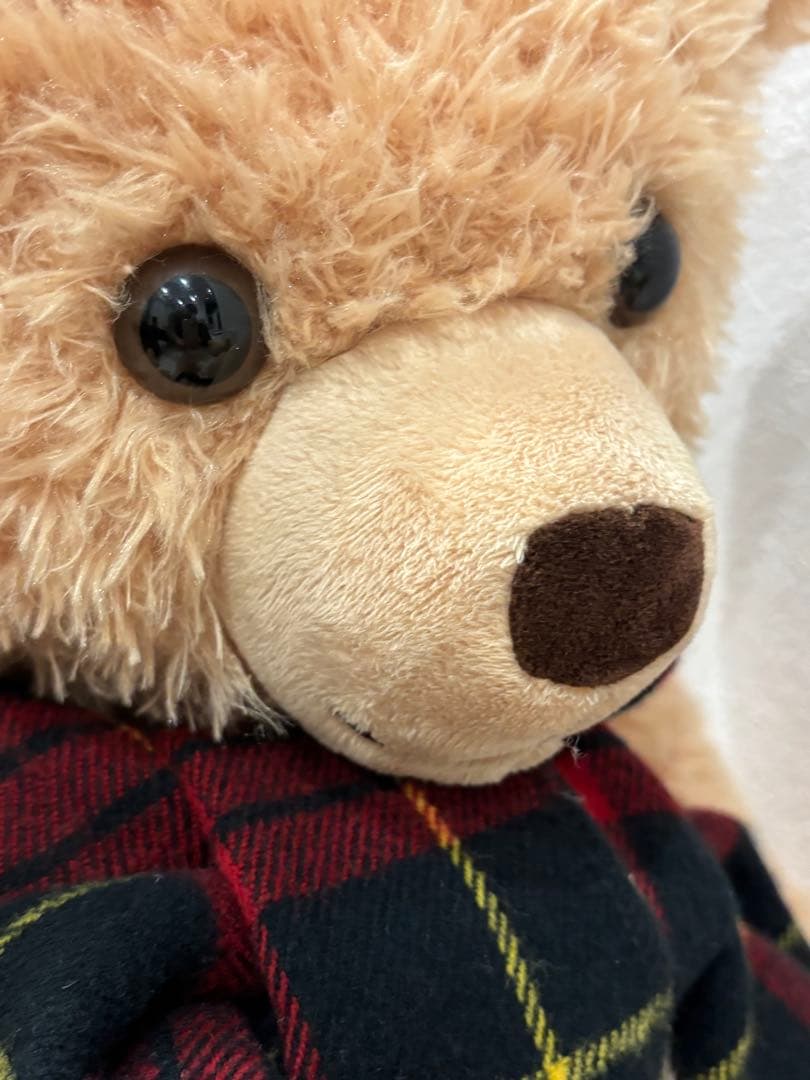 Jonesシュタイフ 美品タグ付 テディ キム ベージュ 65 テディベア