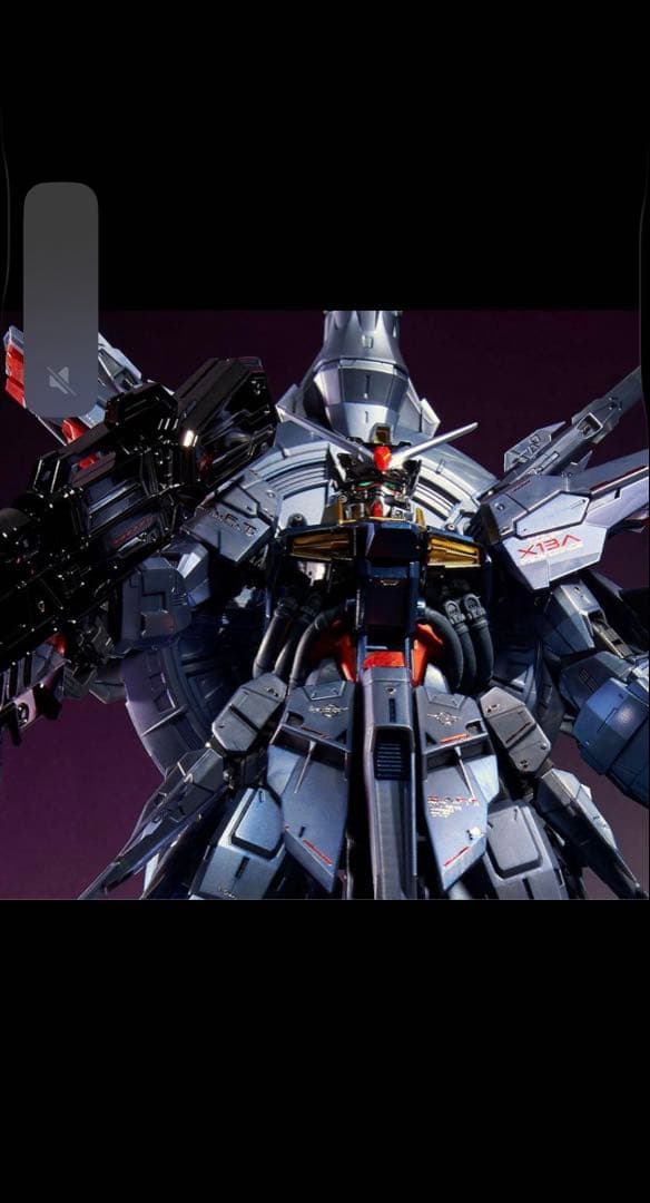 ＭＧ1/100 プロヴィデンスガンダム [スペシャルコーティング] 2個