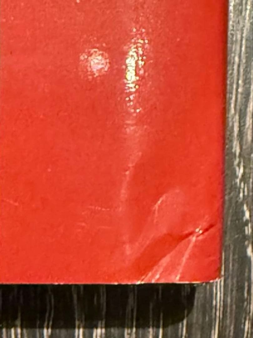 絶版⭐︎Davide Sorrenti　ArgueSKE　1994-1997