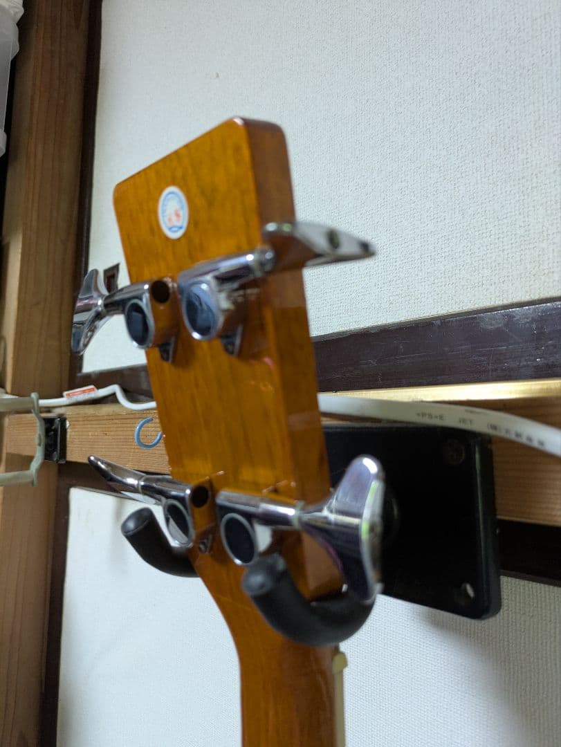 ZENN アコースティックベース フレットレスZB22CE-FL　ソフトケース付