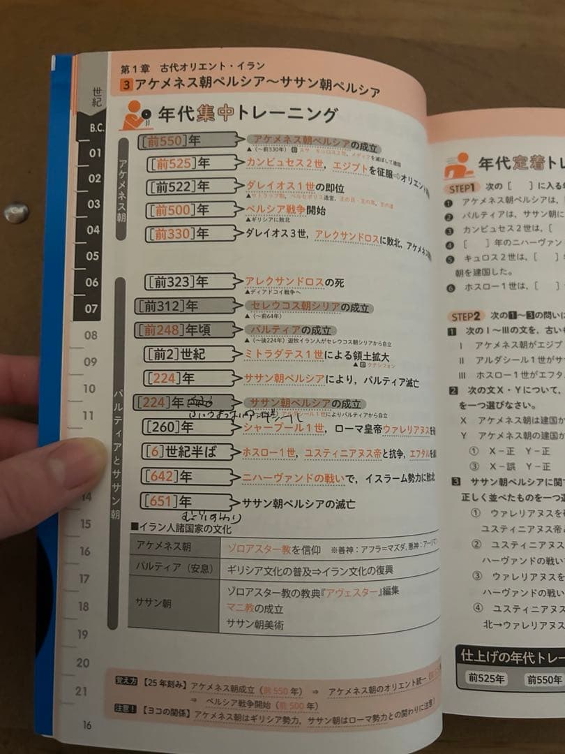 バラ売り可 チャート セミナー 基礎問 ナビゲーター世界史 ポラリス 早稲田赤本