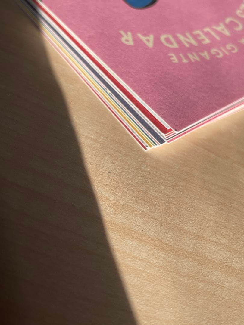 ブリアナギガンテ カレンダー 2023 MUNE×BRIANA GIGANTE