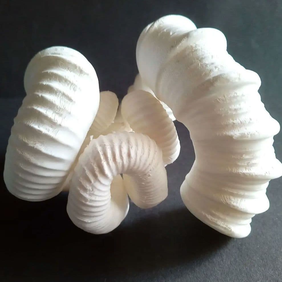 異常巻きアンモナイト　ニッポニテス　３Ｄモデル