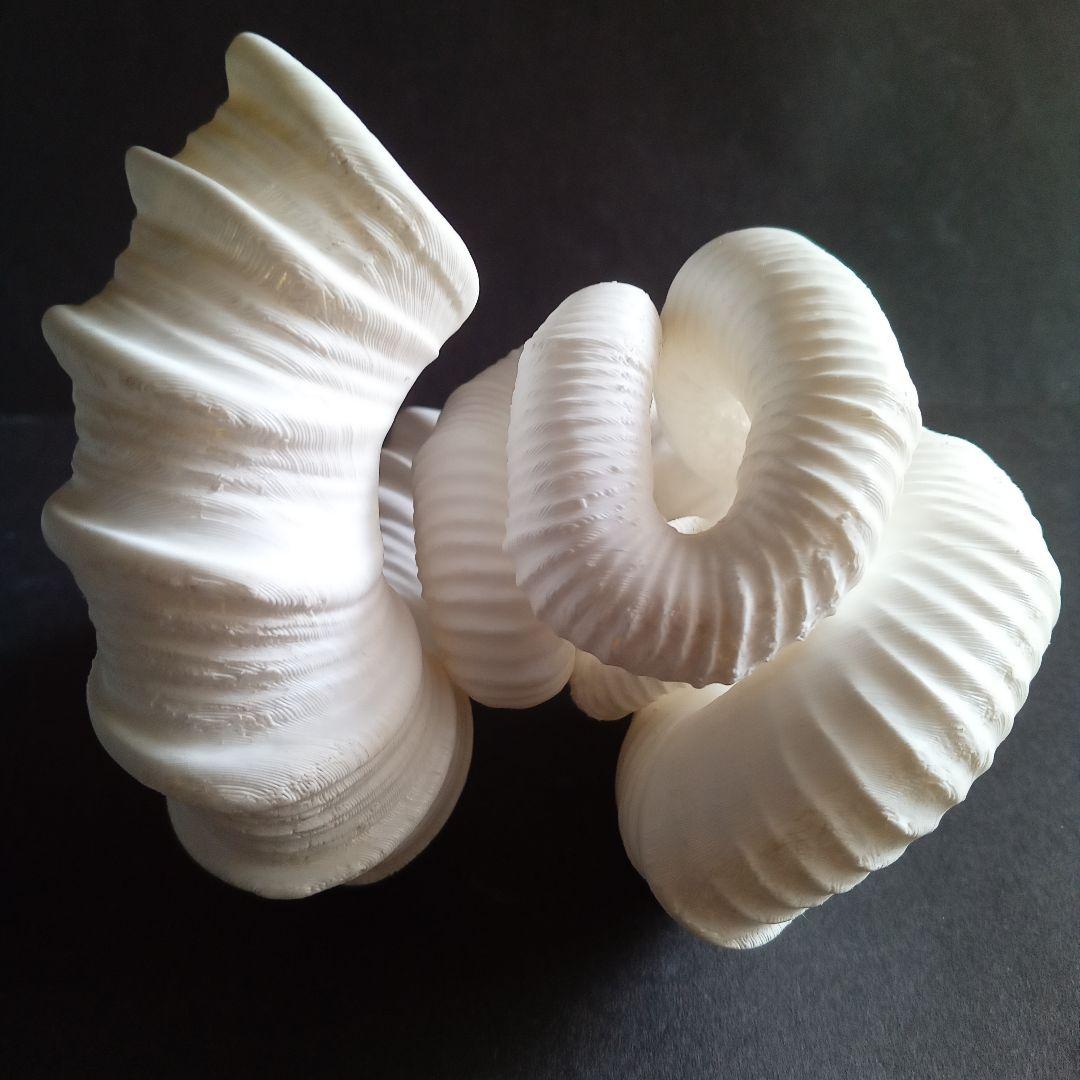 異常巻きアンモナイト　ニッポニテス　３Ｄモデル