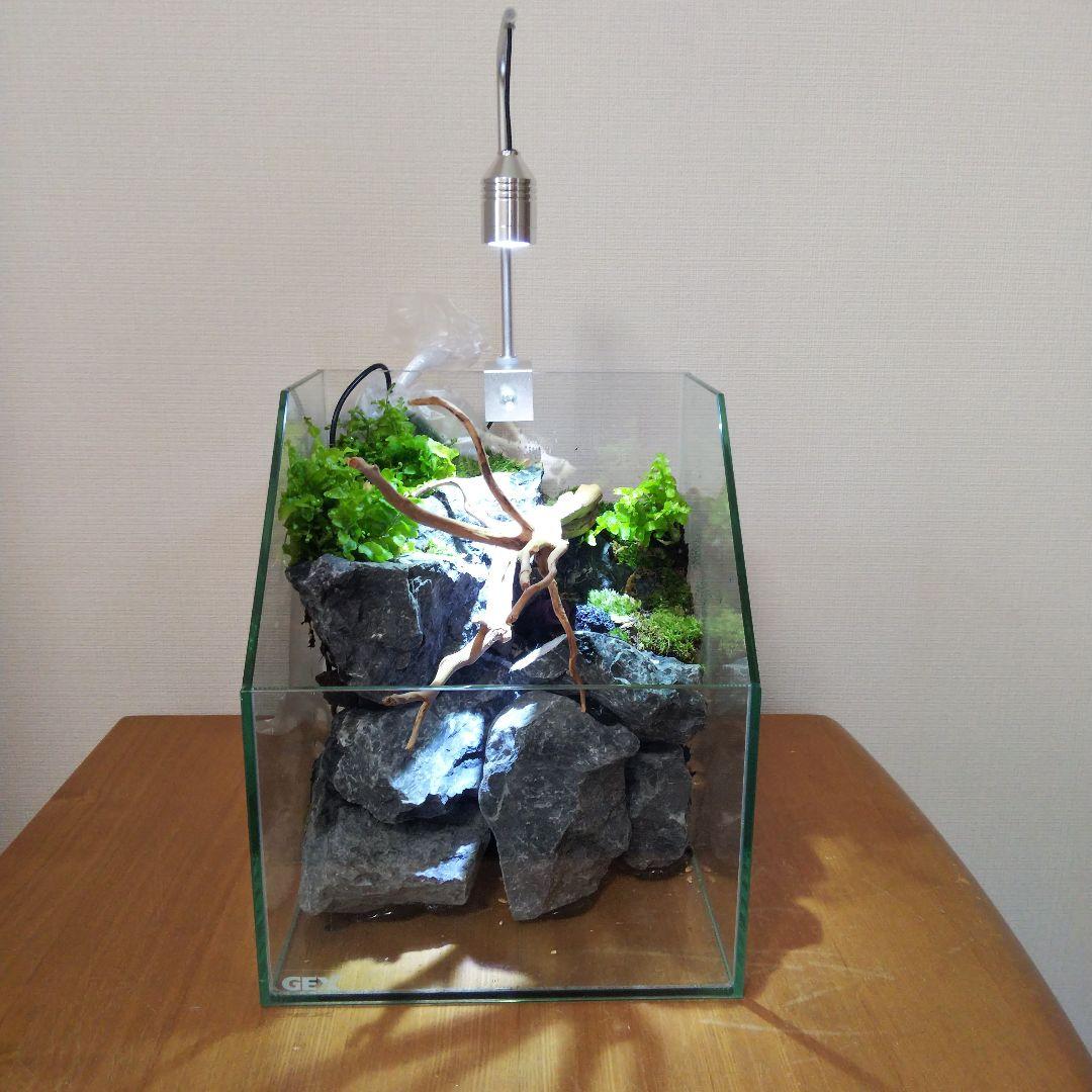 【受注生産】アクアテラリウム