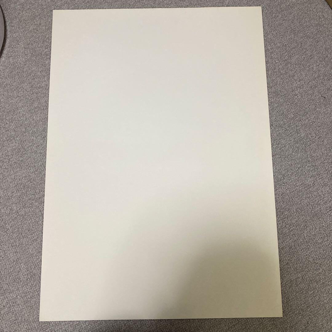 井川遥　BODY WILD FIT BOXER ポスター　美品　グンゼ　赤　１