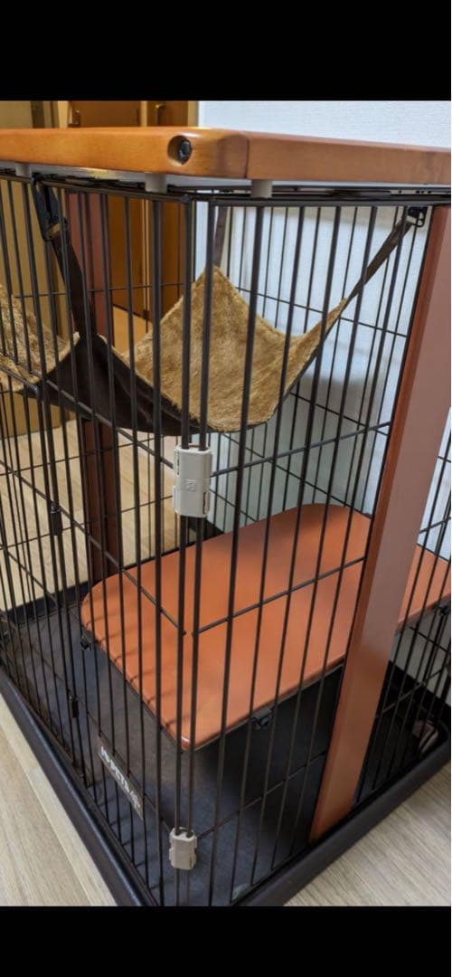 ボンビアルコンウッドワンサークルキャットミニ