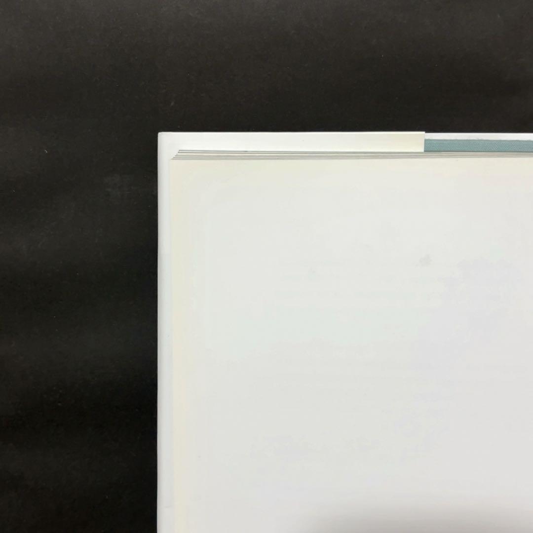 ライアン・マッギンレー 写真集 Ryan McGinley You and I