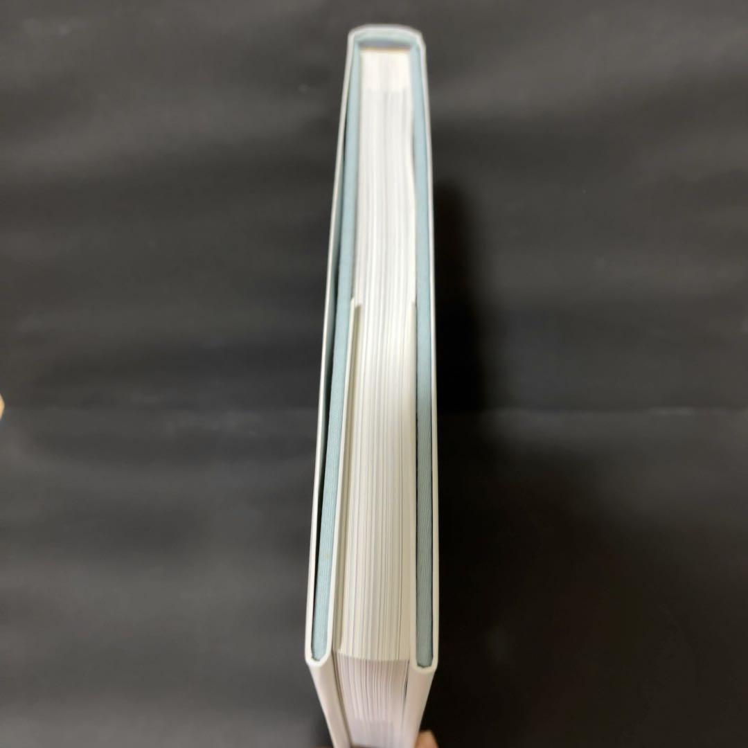 ライアン・マッギンレー 写真集 Ryan McGinley You and I