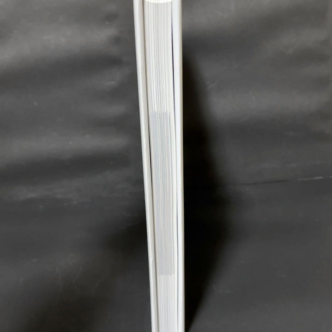 ライアン・マッギンレー 写真集 Ryan McGinley You and I