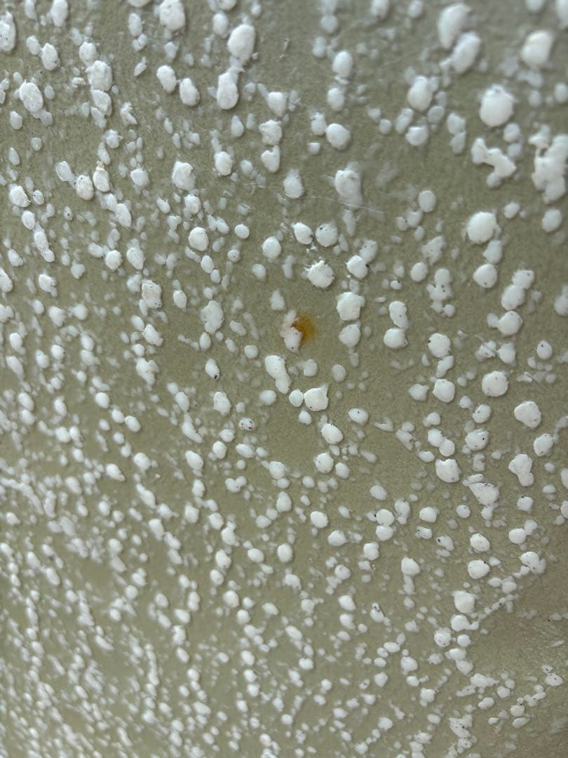 TYLER WARREN/ BAR OF SOAP /ケース付き