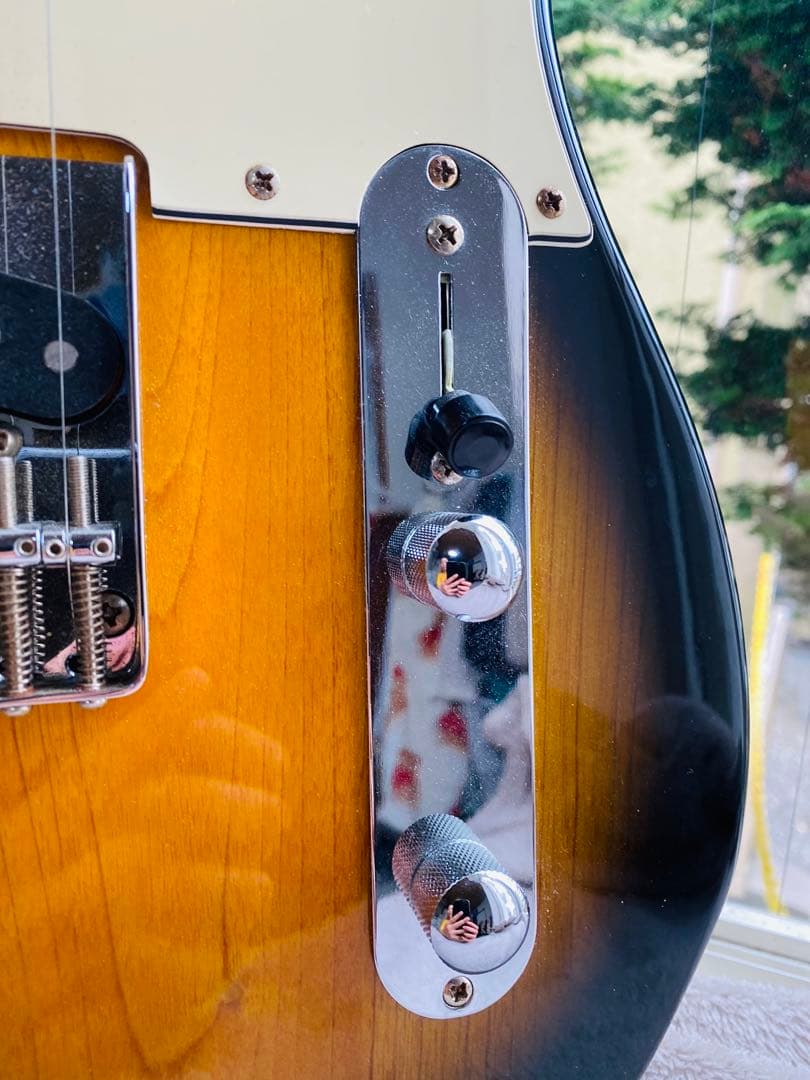 ギターSelva Telecastder