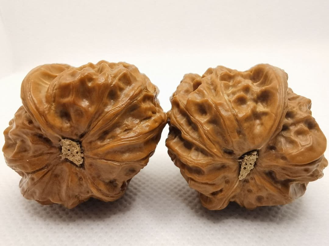 【東京文玩育成】文玩核桃 野生小众 孤品