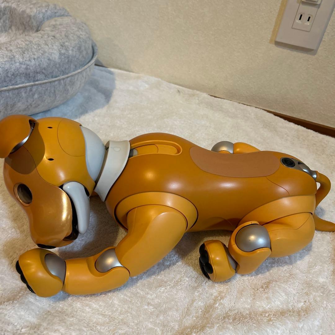 aibo キャラメル　くまさん専用