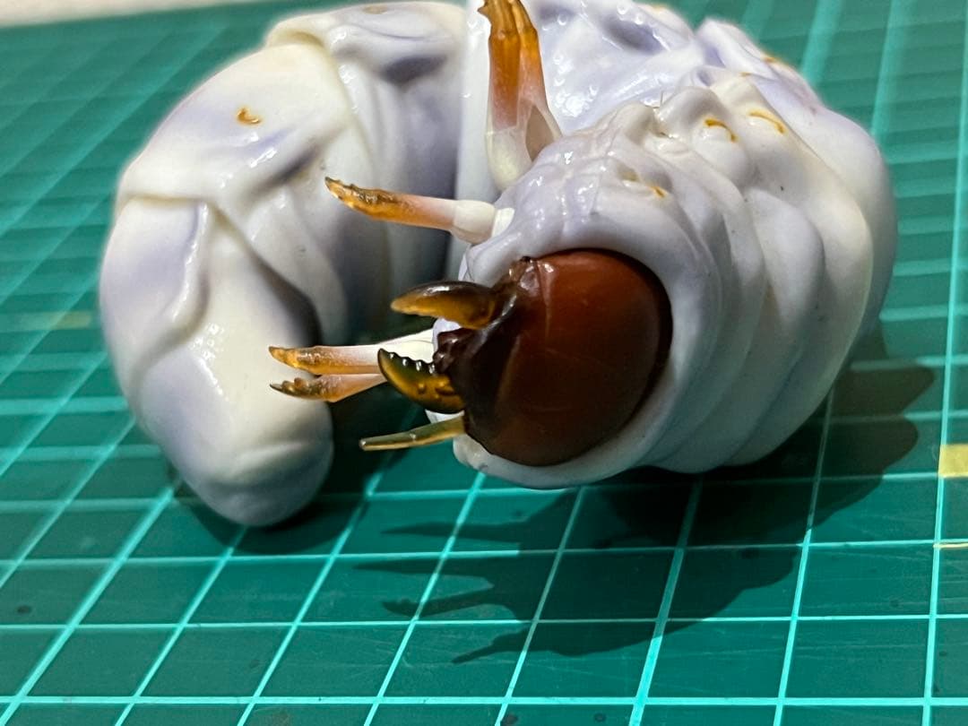 ★ いきもの大図鑑　アドバンス　カブトムシ　セット★