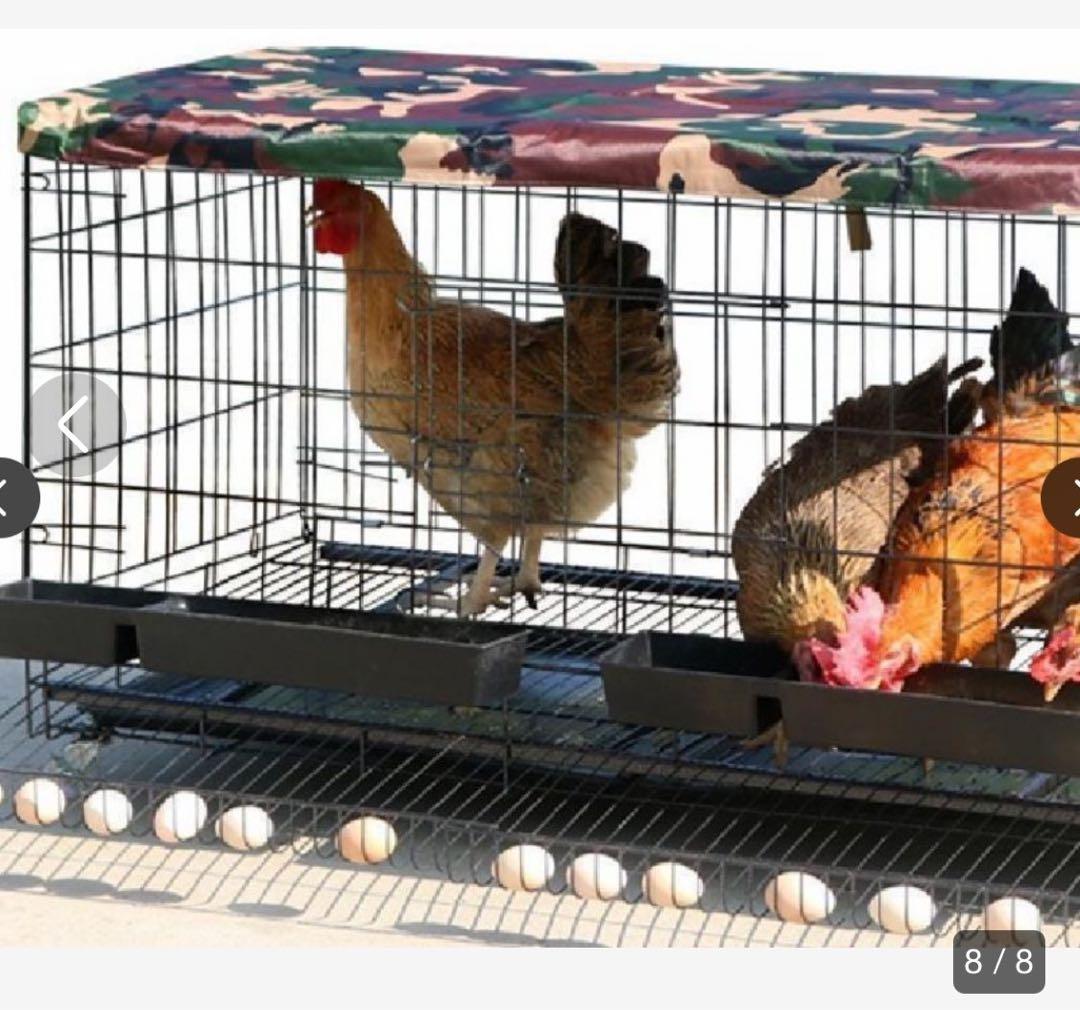 大きな鶏ケージ
