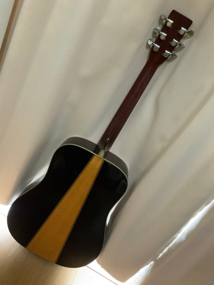 ギター MORRIS W-50